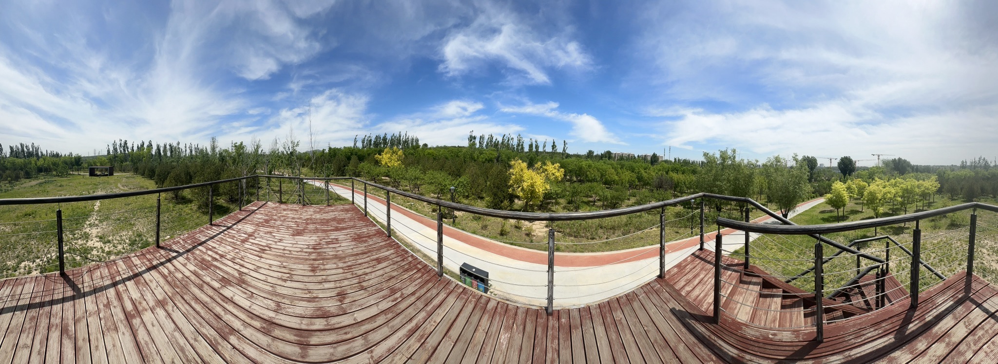 辛庄公园旅行图片 3