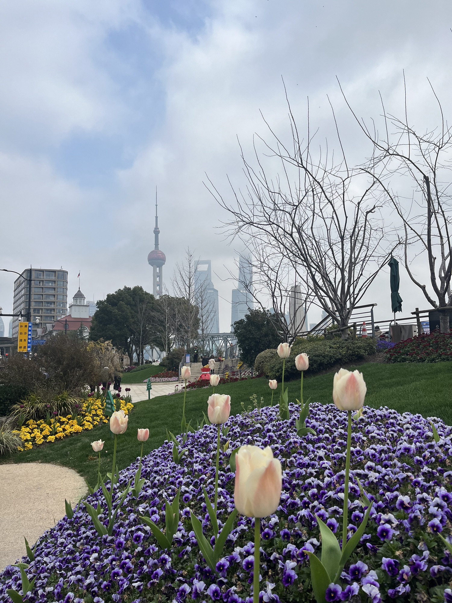 世纪同框广场旅行图片 1