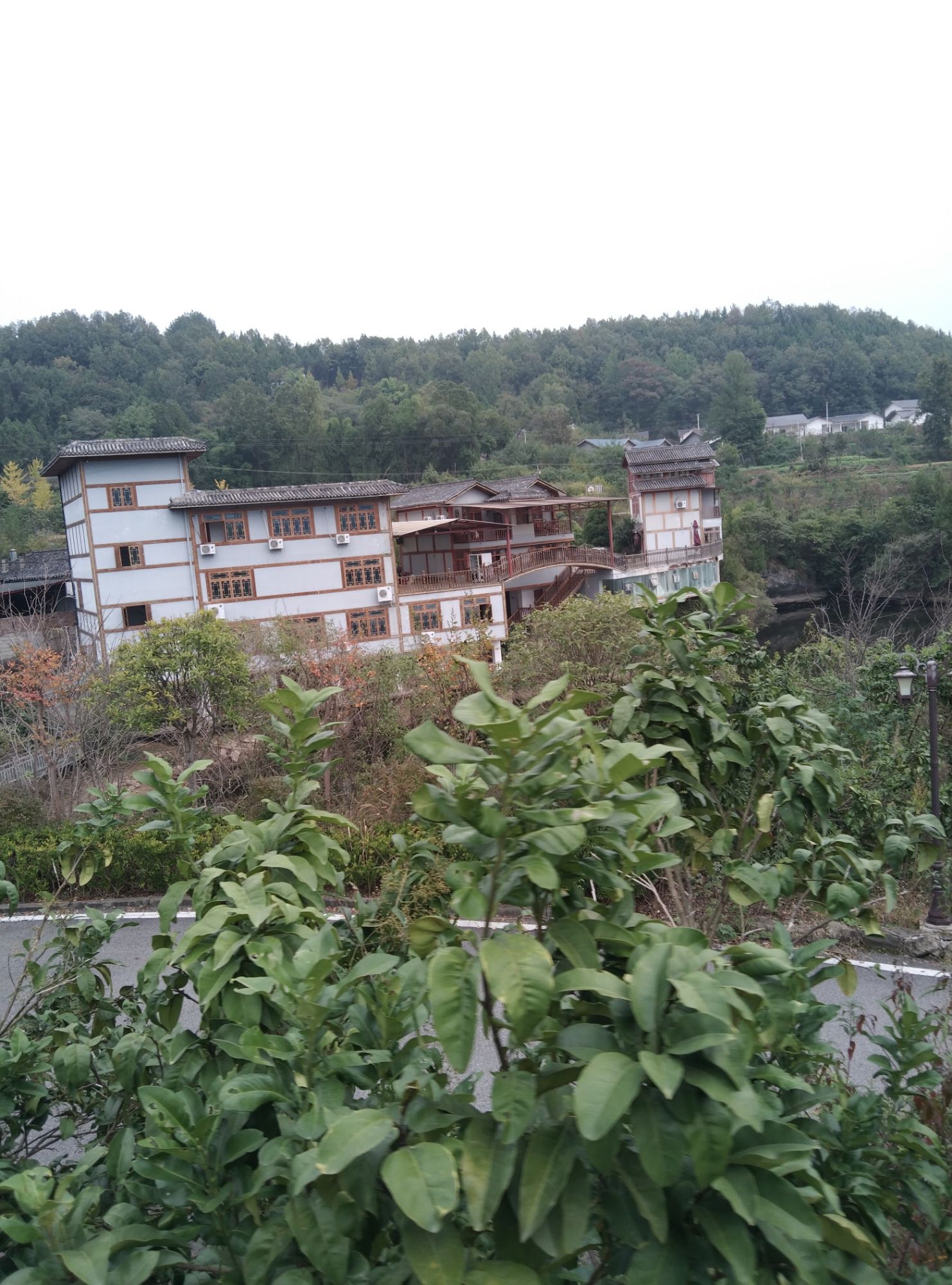青花椒主题公园旅行图片 1