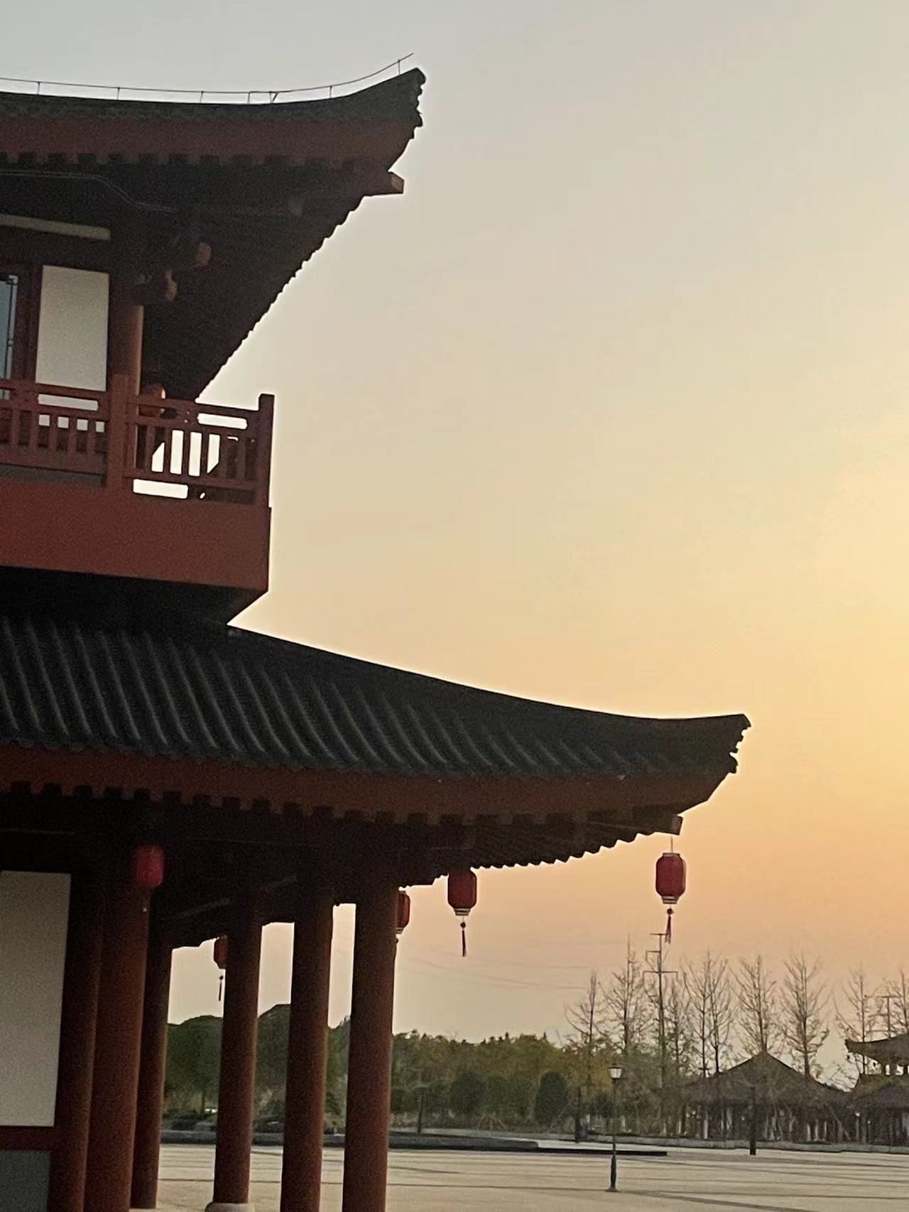 崇仁森林公园旅行图片 3