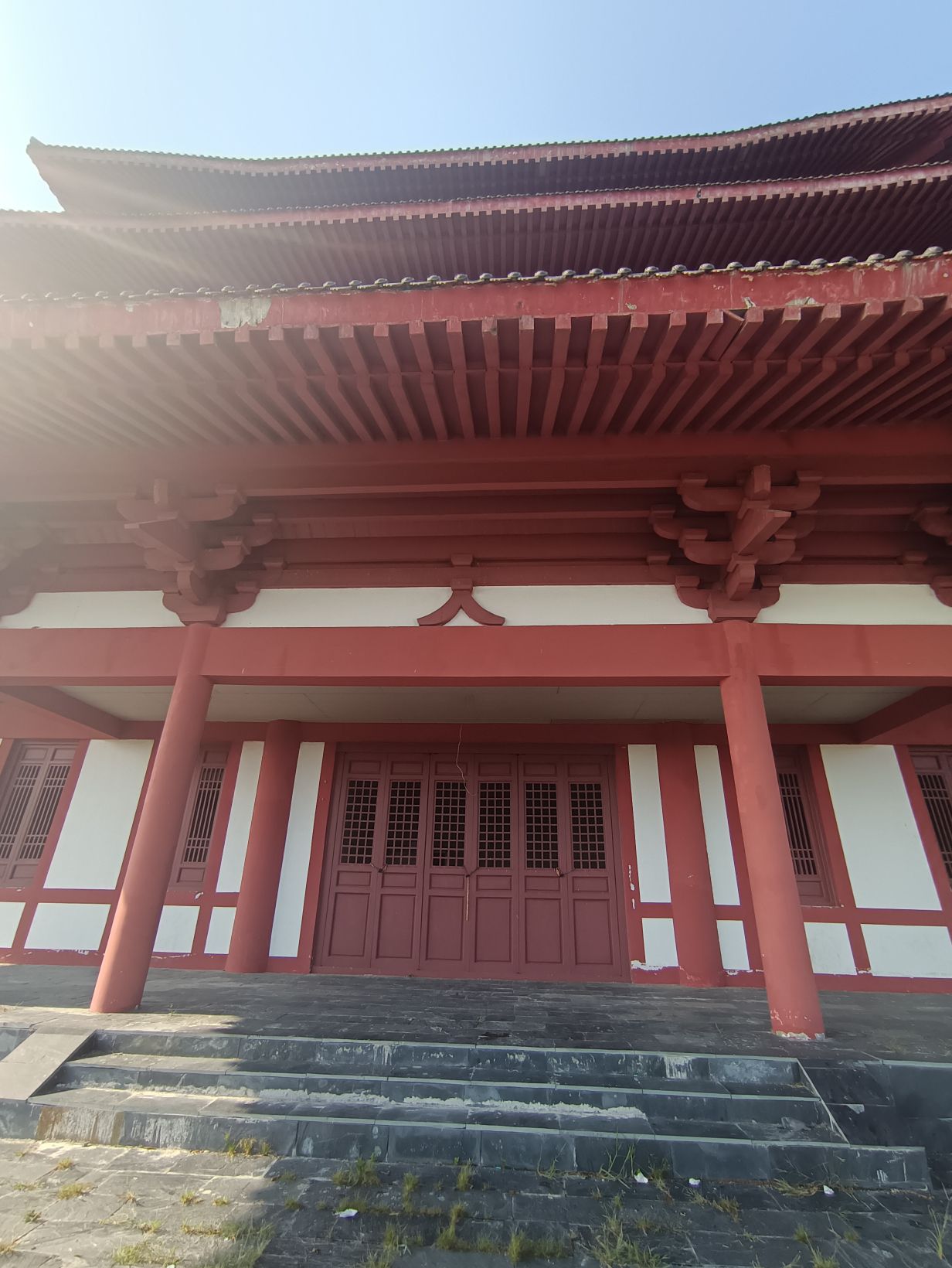 崇仁森林公园旅行图片 3
