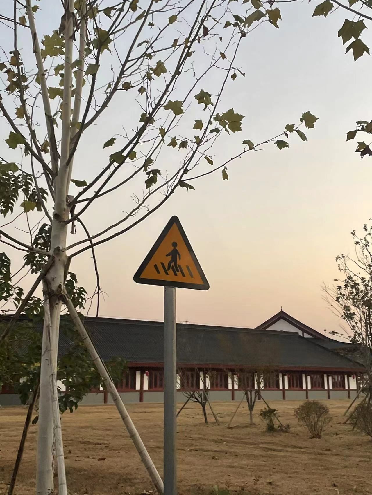 崇仁森林公园旅行图片 2