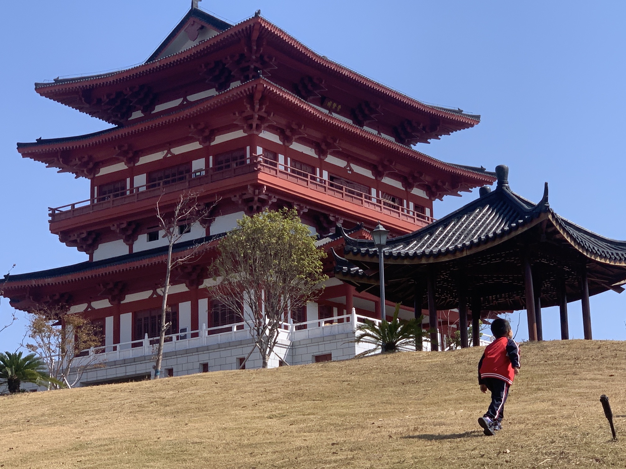 崇仁森林公园旅行图片 2