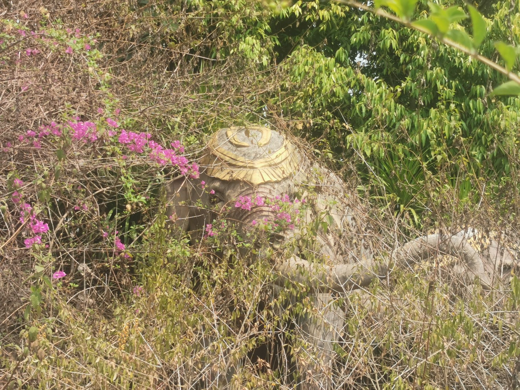 西双版纳万达傣文化风情园