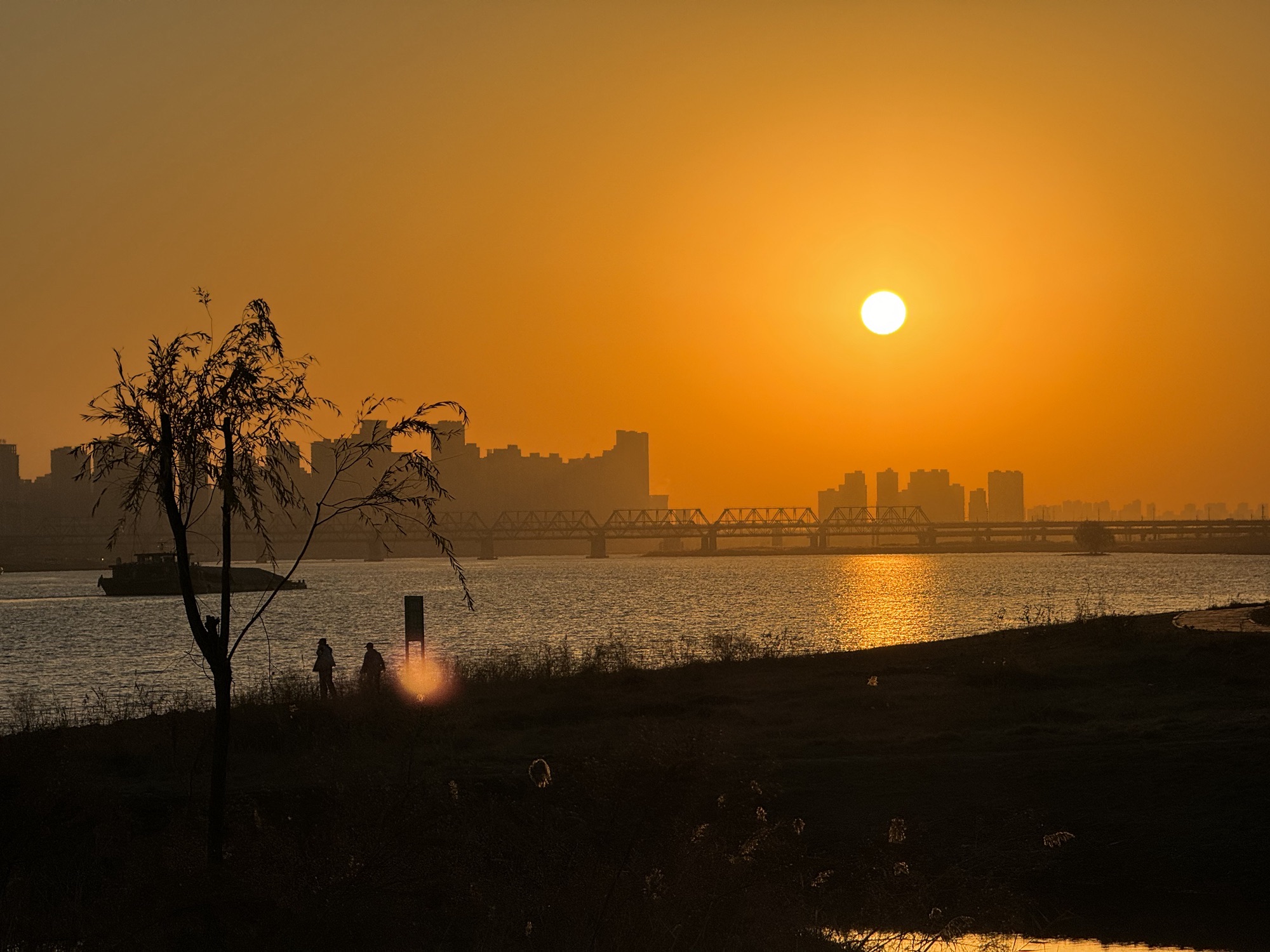 淮河北岸滨河绿地景区旅行图片 2
