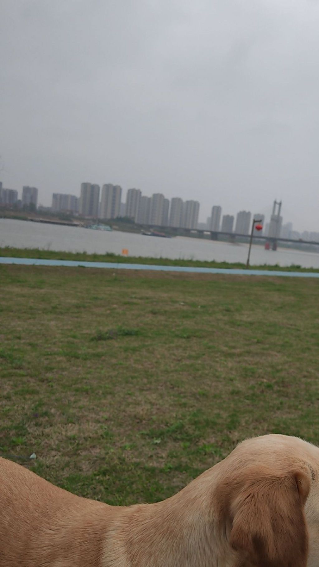 淮河北岸滨河绿地景区旅行图片 1