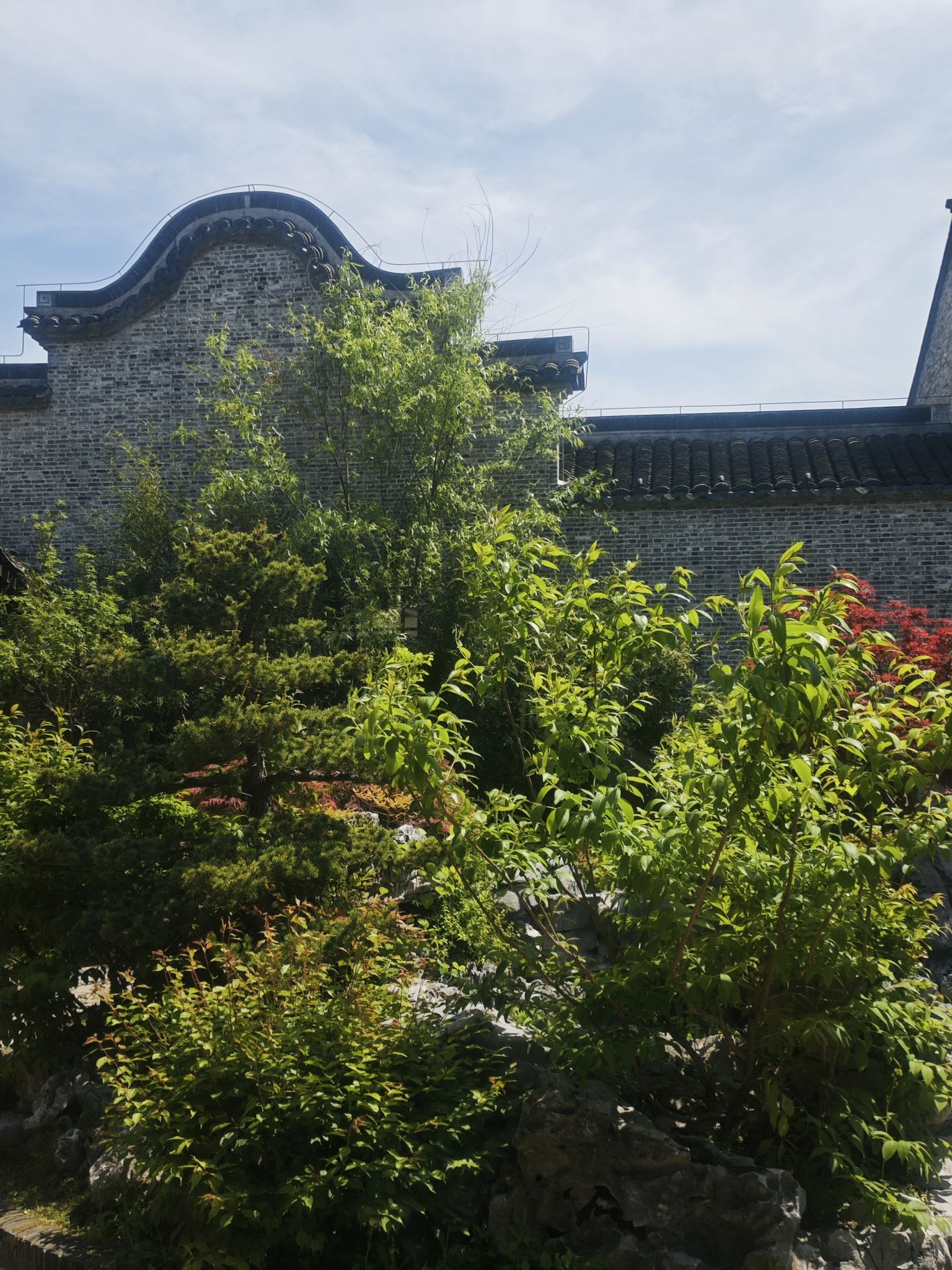 南园旅行图片 2