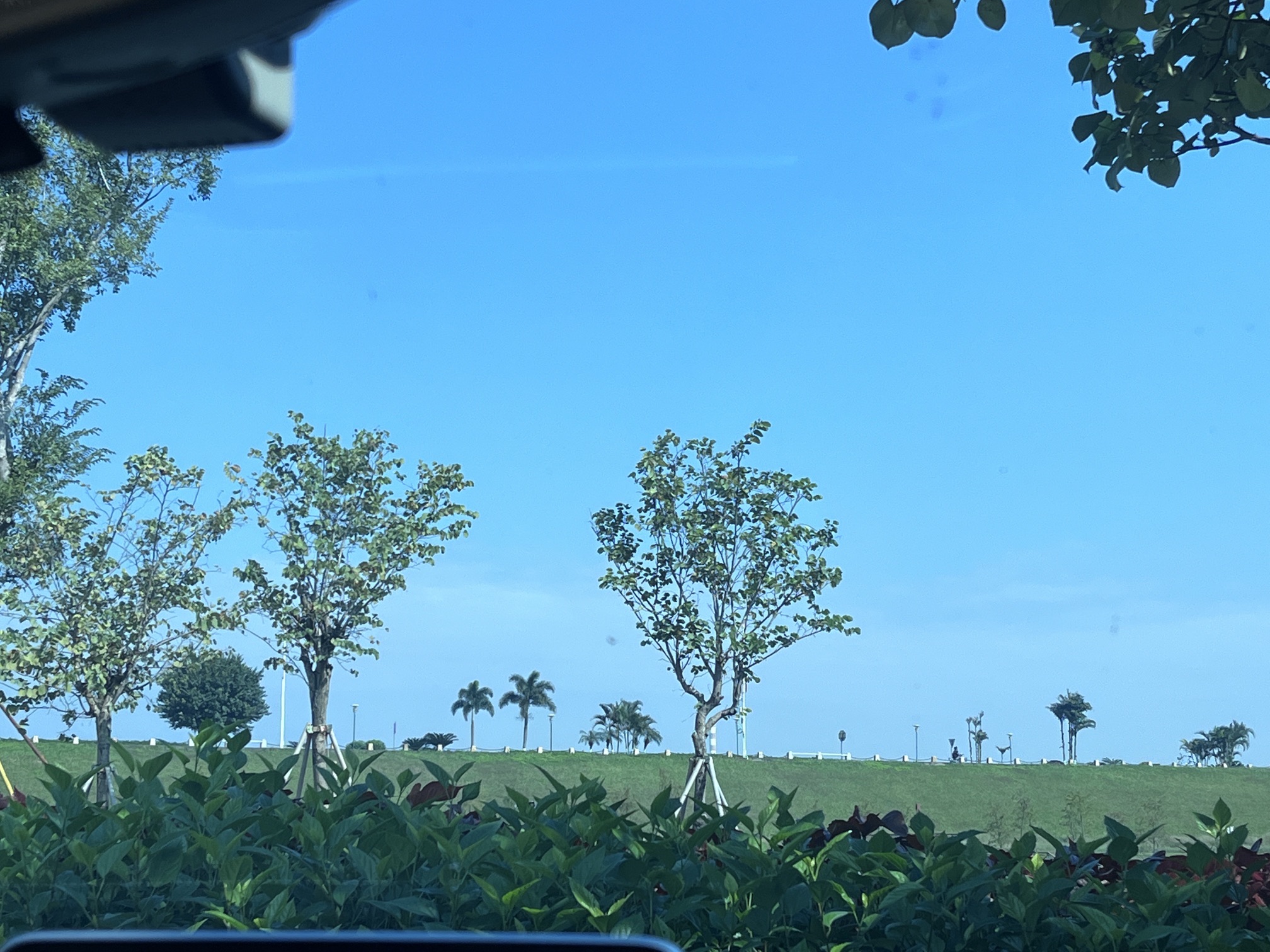 高明滨江湿地公园旅行图片 1