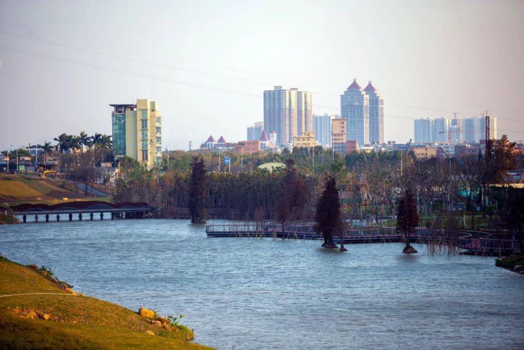 高明滨江湿地公园旅行图片 3