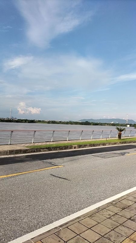 高明滨江湿地公园旅行图片 3