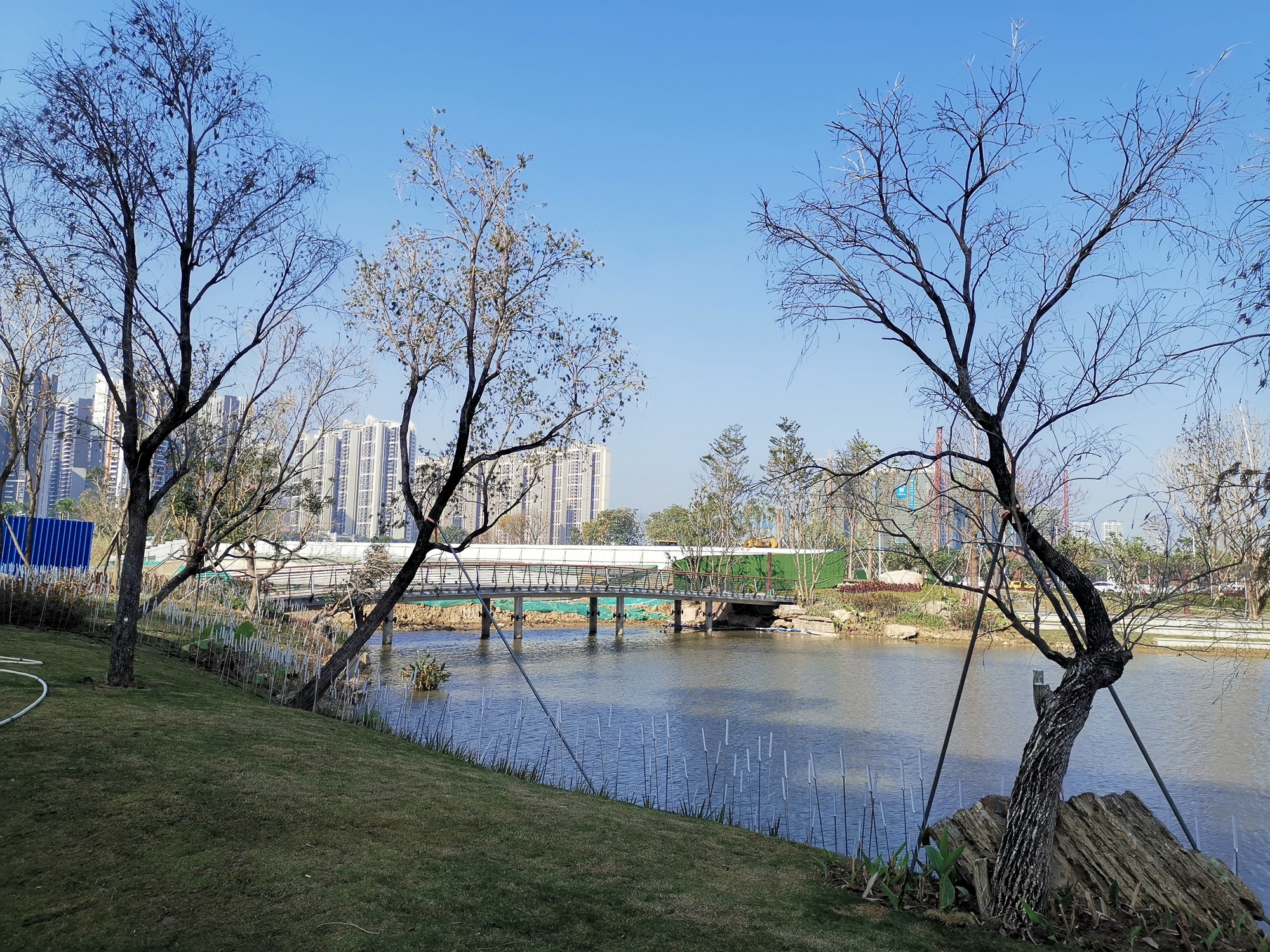 高明滨江湿地公园旅行图片 2