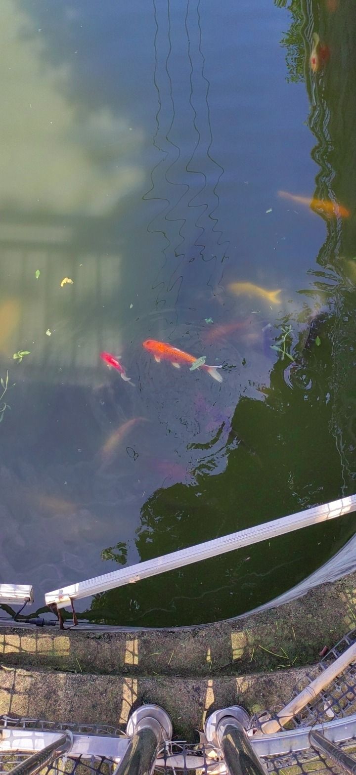 唐氏宗祠