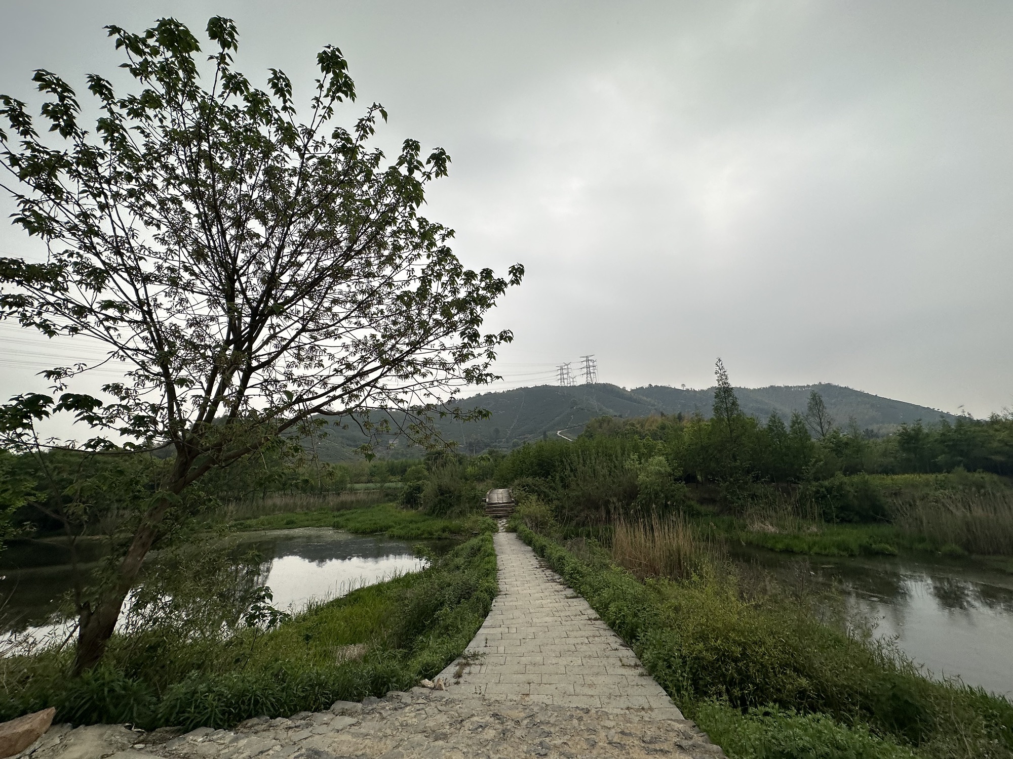 徐阶墓旅行图片 3