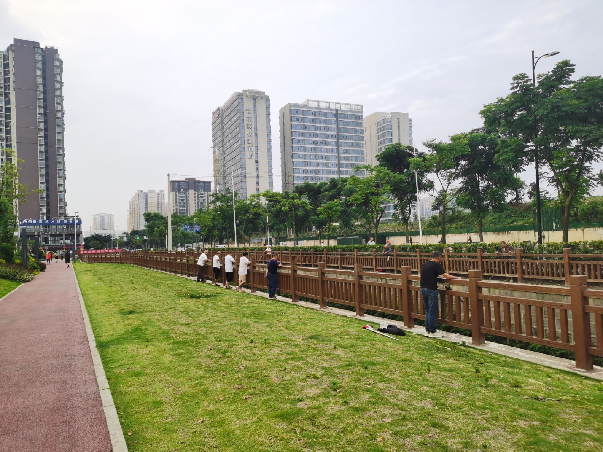 犀浦体育公园旅行图片 2