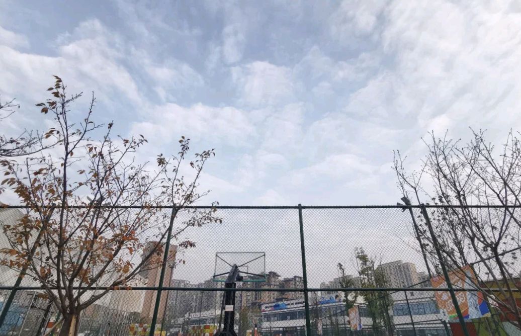 犀浦体育公园旅行图片 3