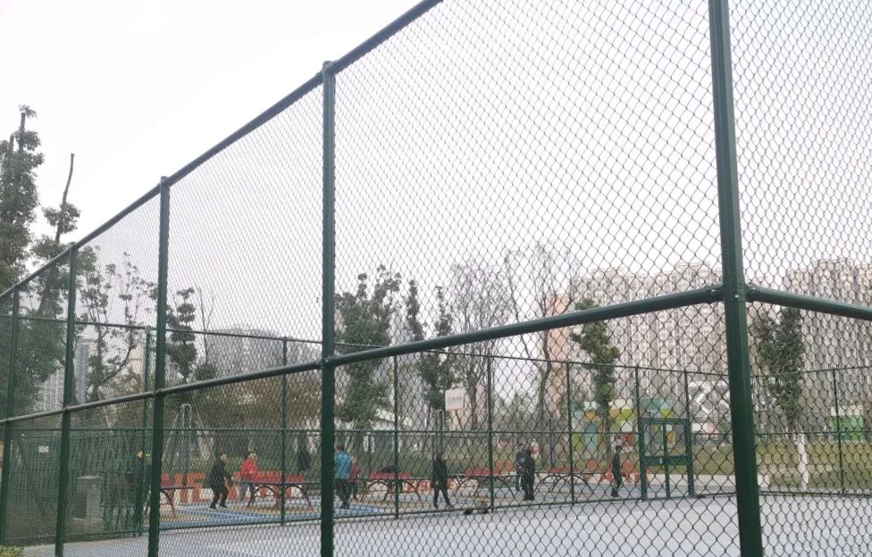 犀浦体育公园旅行图片 2