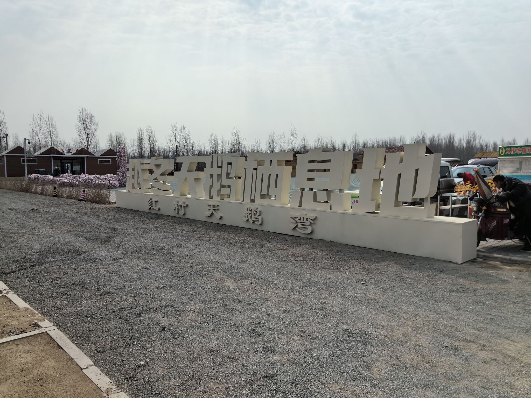 红村天鹅湾旅行图片 1