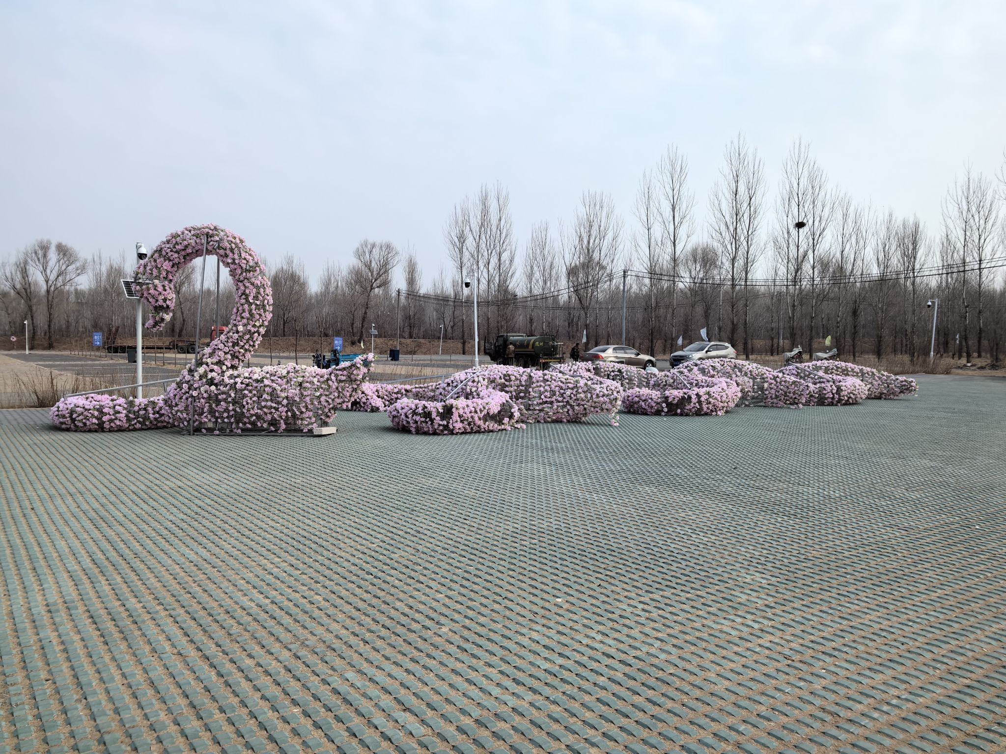 红村天鹅湾旅行图片 2