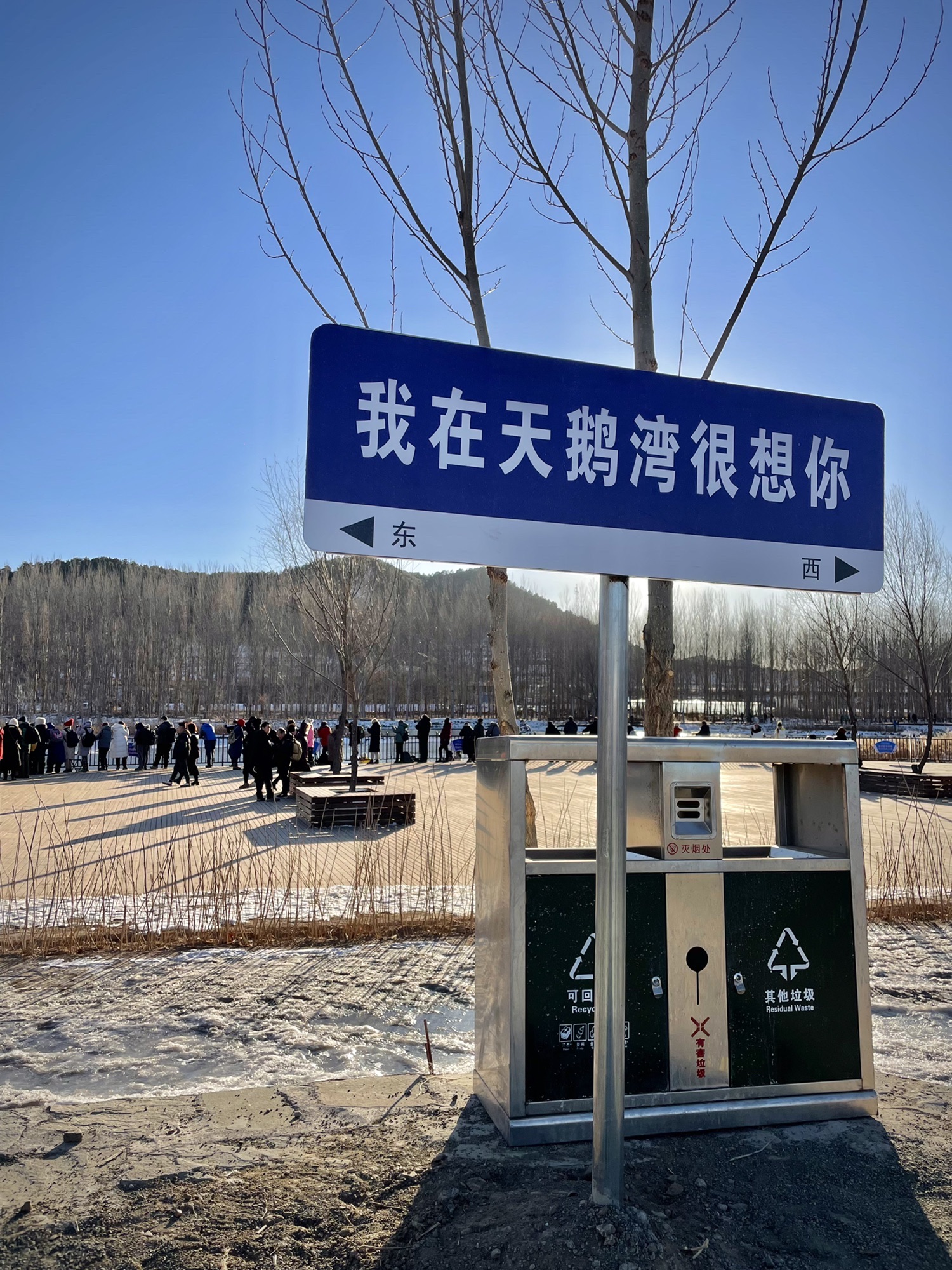 红村天鹅湾旅行图片 2