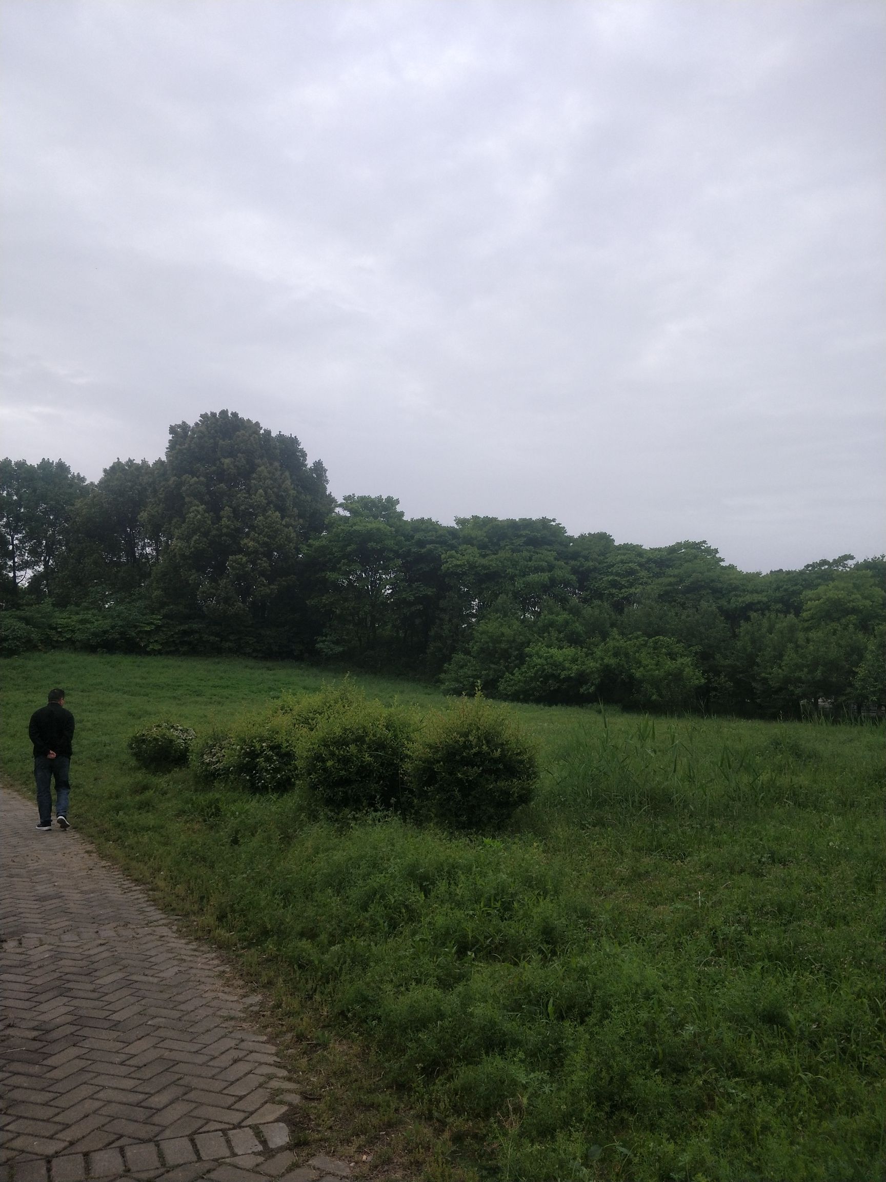 九里沟公园旅行图片 3