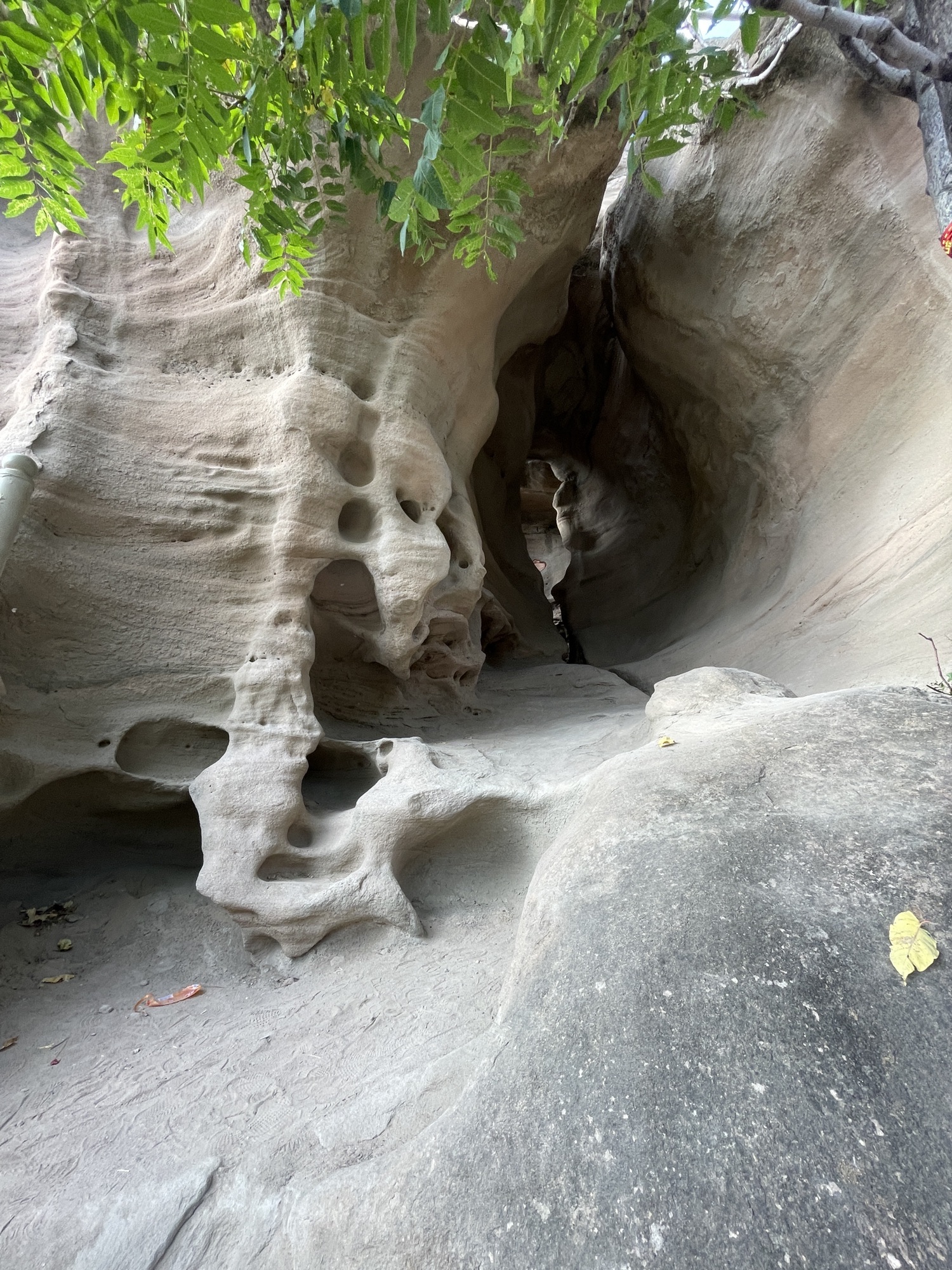 黄河奇石湾景区旅行图片 3