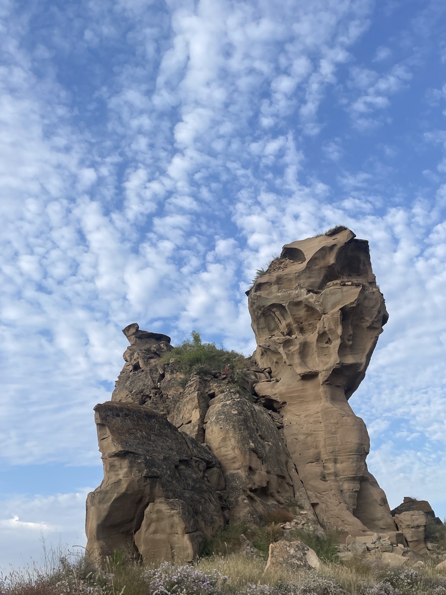黄河奇石湾景区旅行图片 1