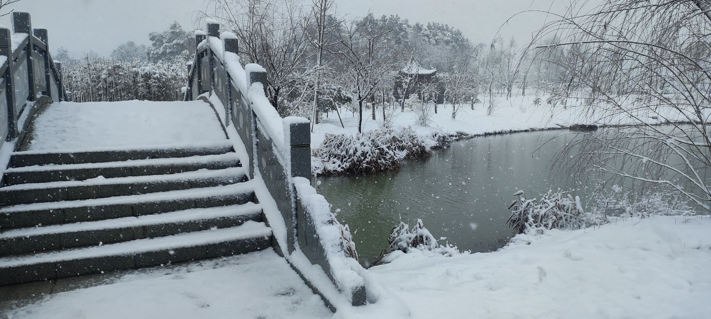 分宜县钤山湖湿地公园