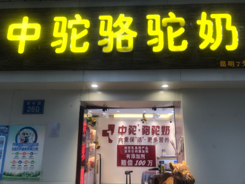 中驼骆驼奶(青年路店)