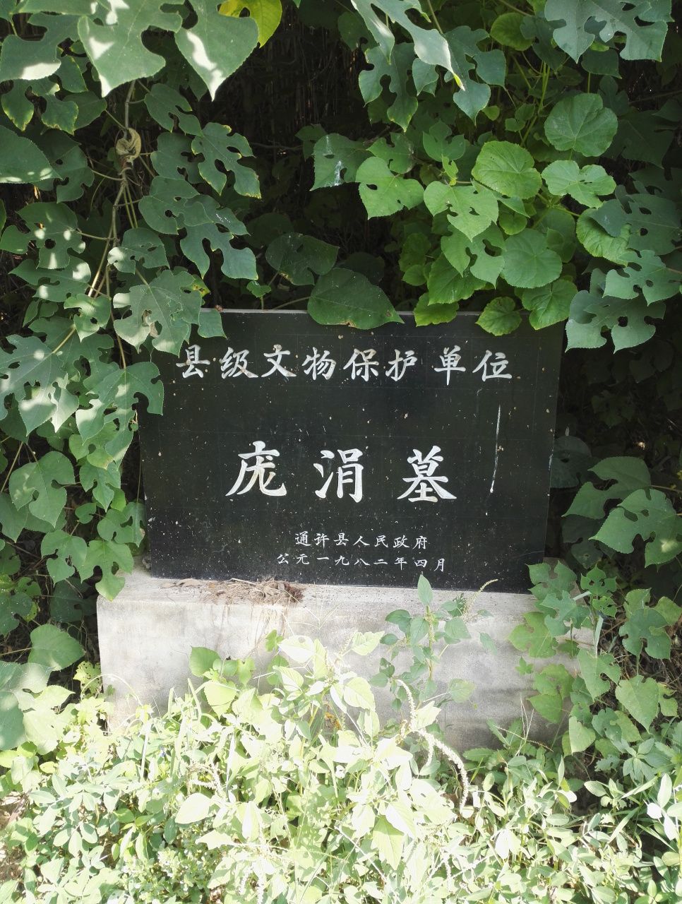河南省开封市通许县庞涓墓旅行图片 1