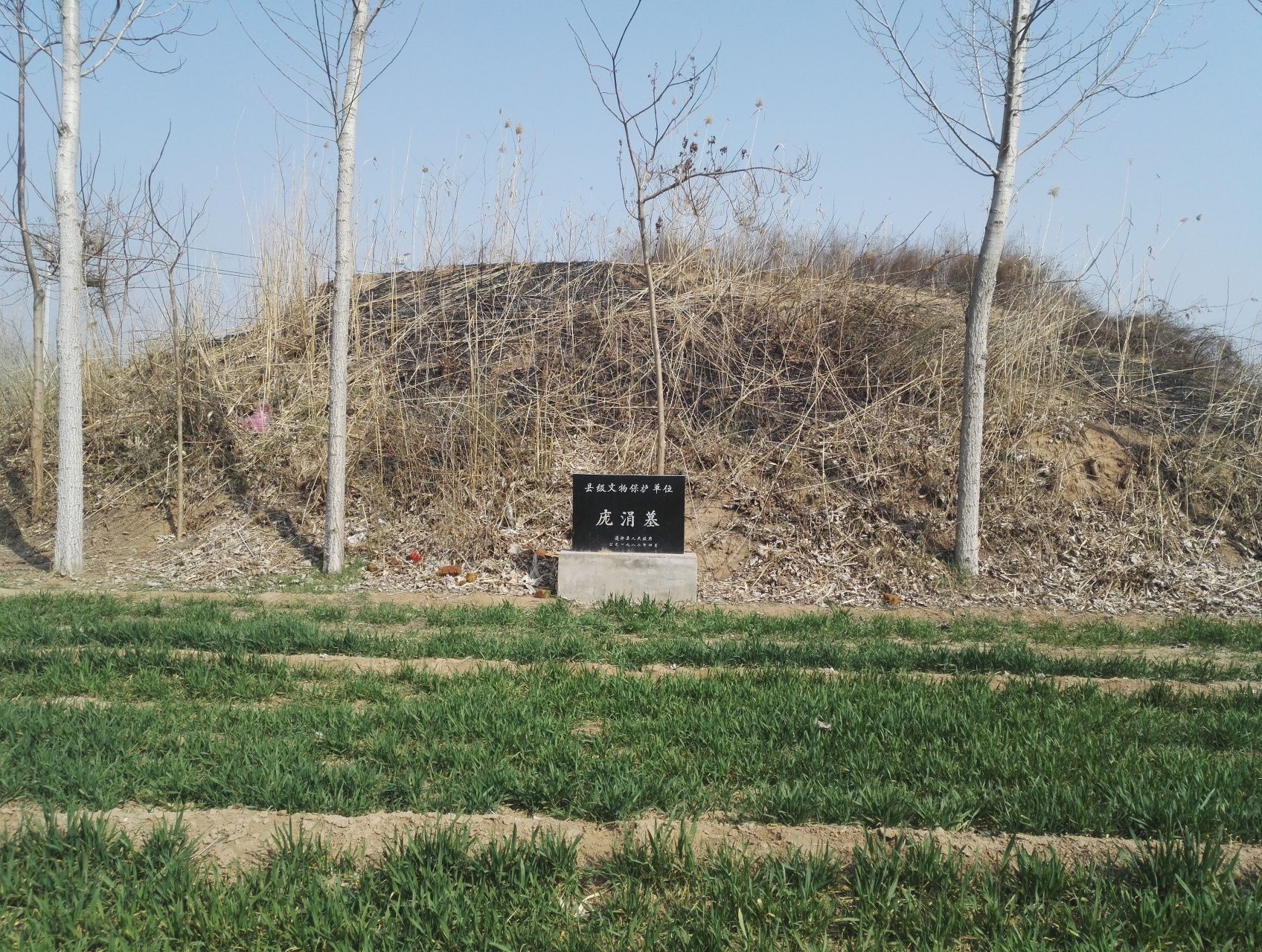 河南省开封市通许县庞涓墓旅行图片 2