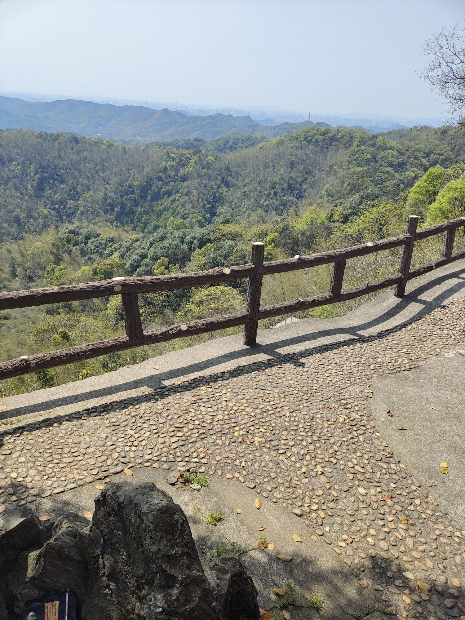 株洲婆仙岭樱花园旅行图片 2