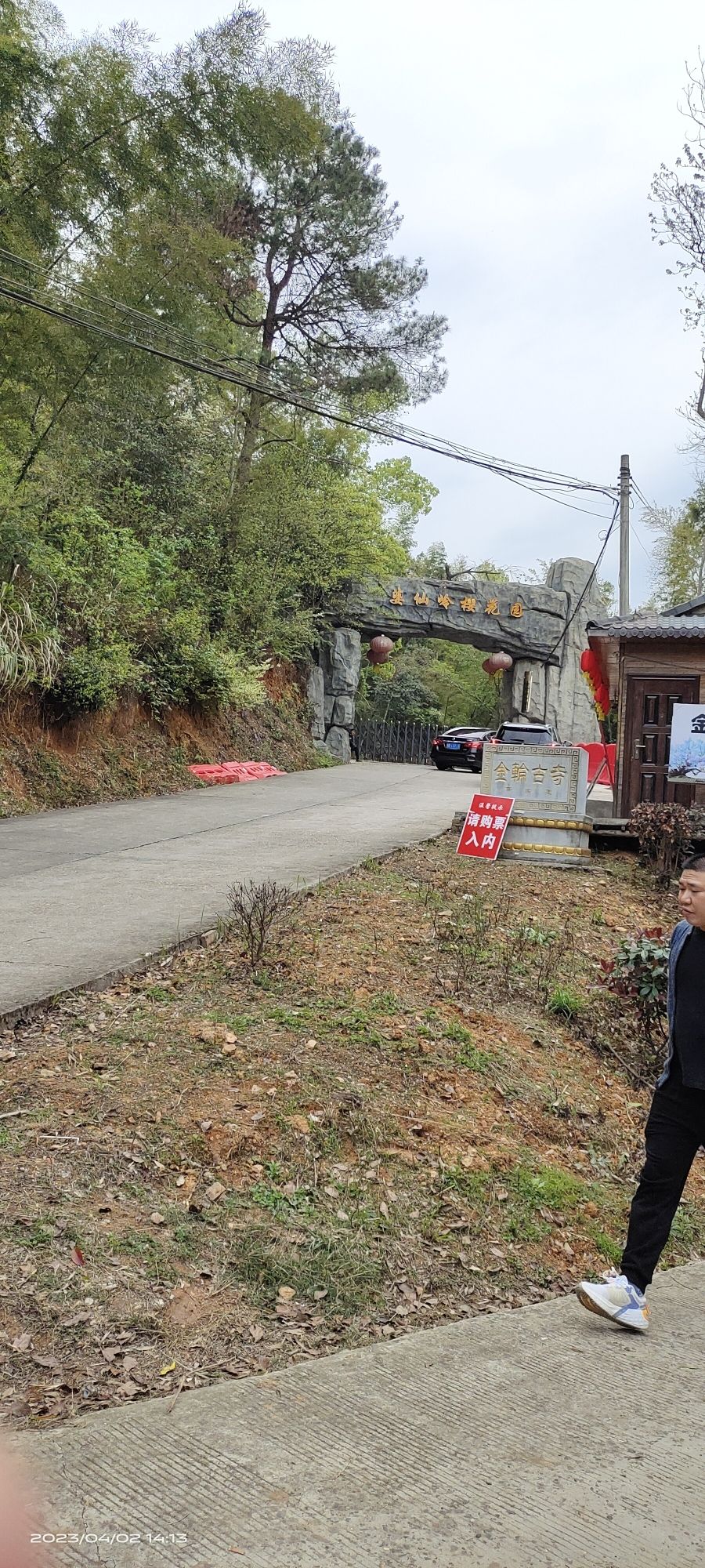 株洲婆仙岭樱花园旅行图片 2