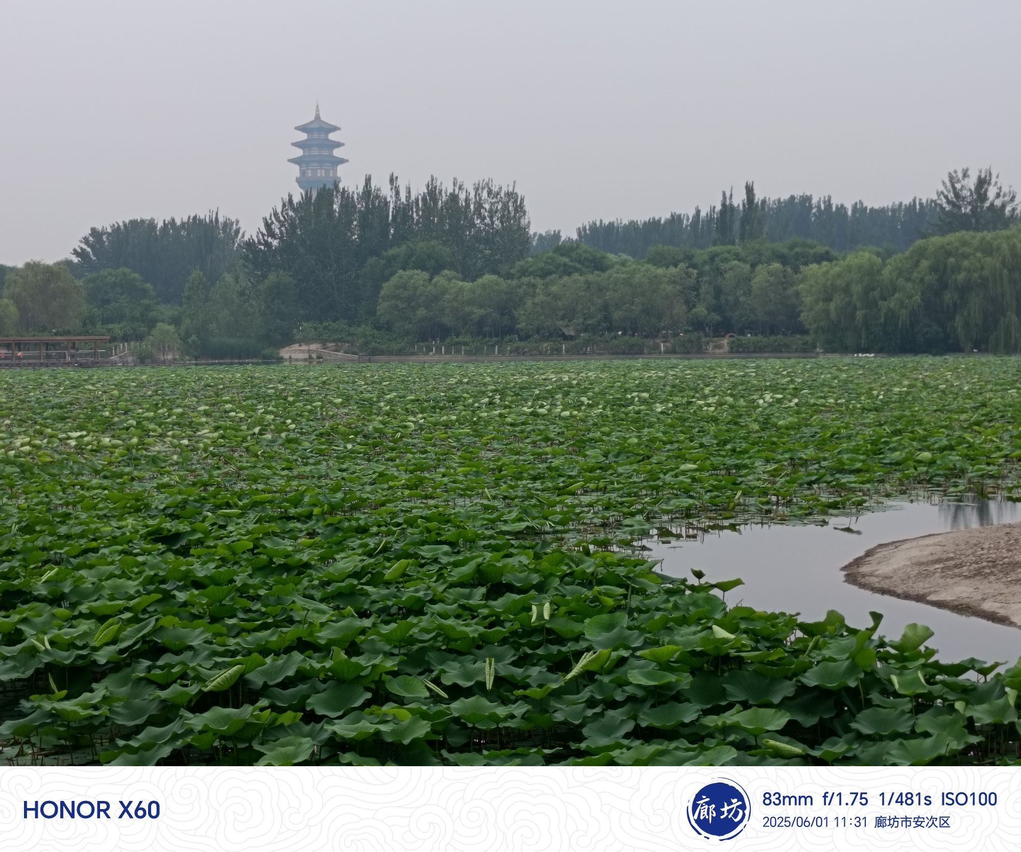 自然公园-东区