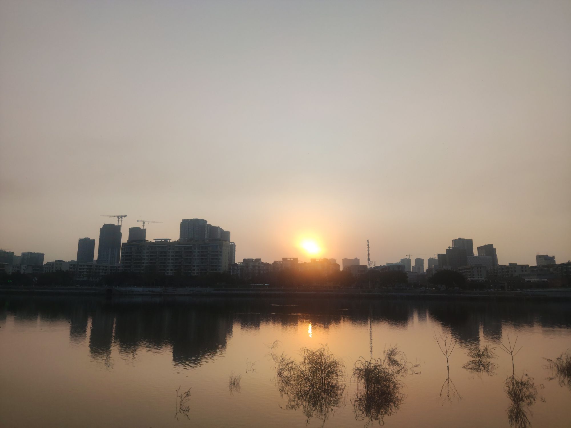 金螺湾生态公园旅行图片 2