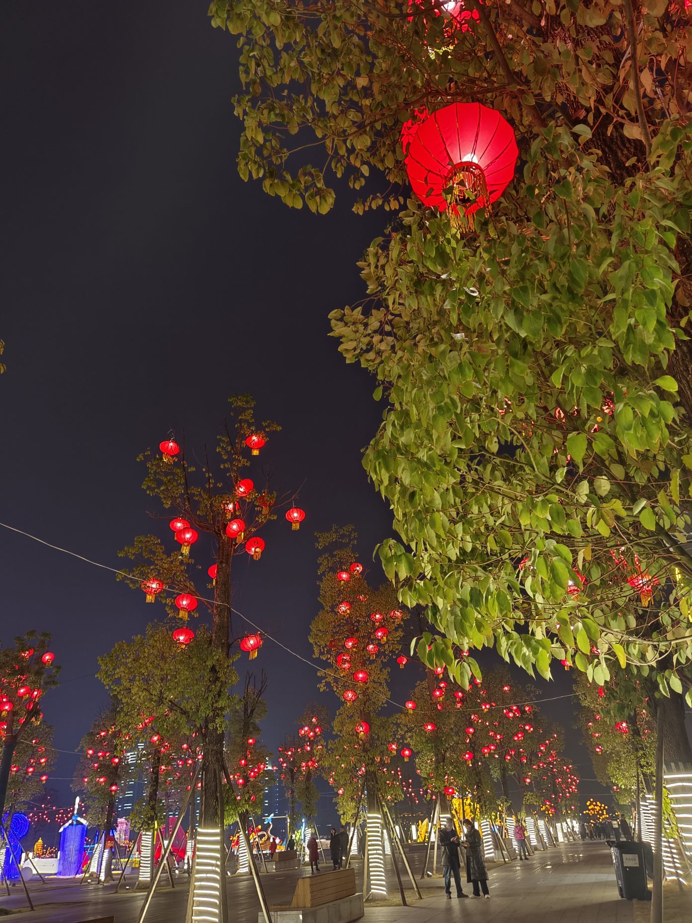 金螺湾生态公园旅行图片 2