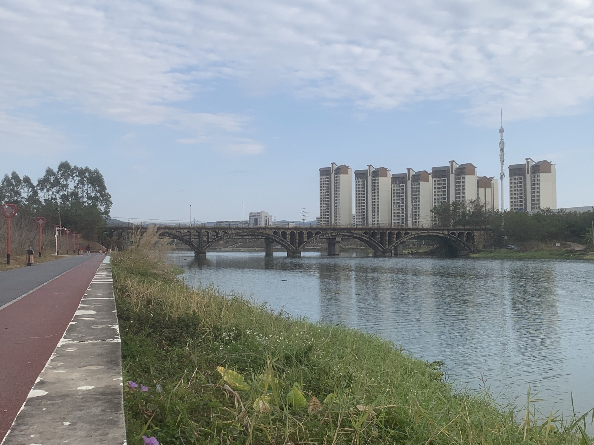 江东新区滨江生态景观长廊旅行图片 1