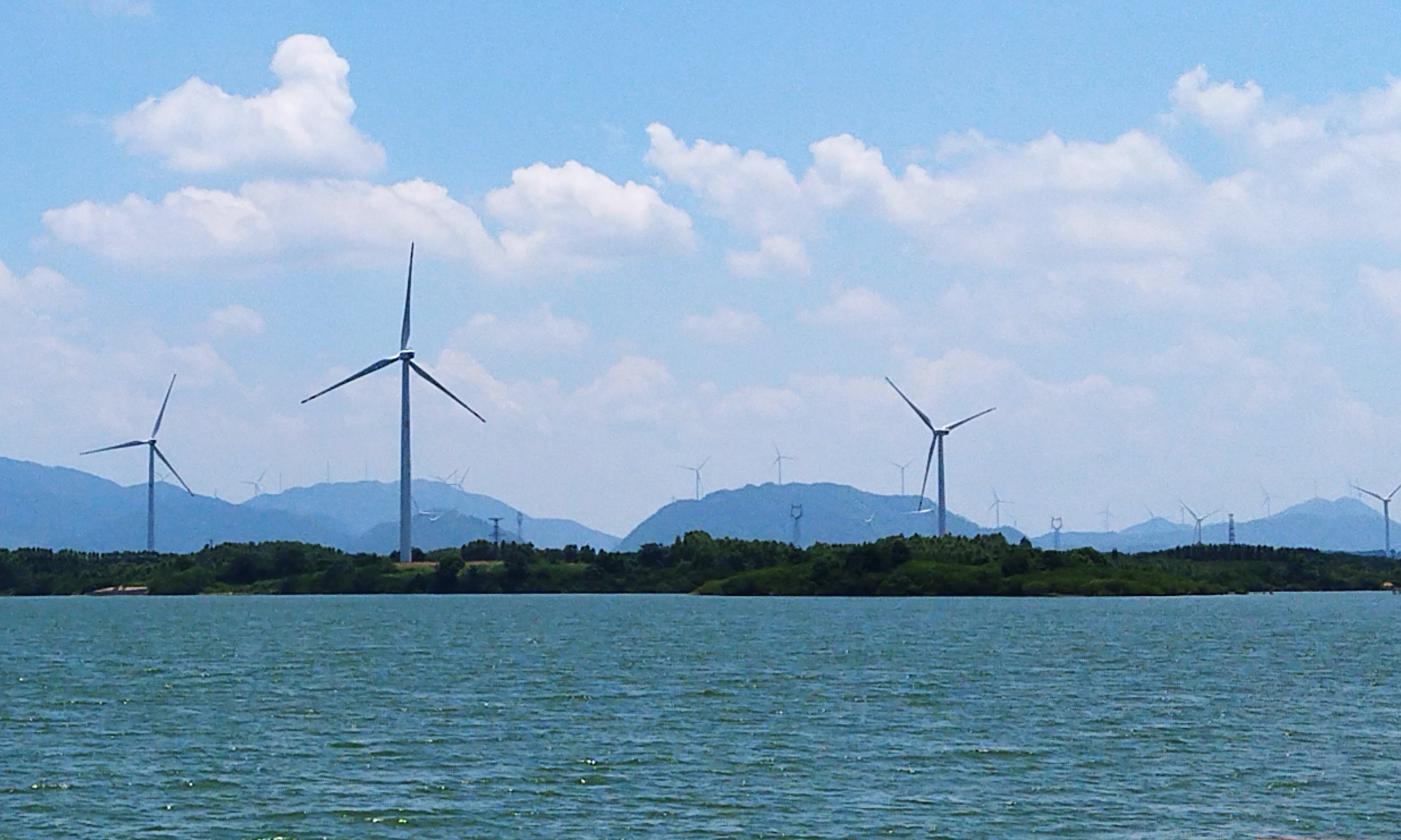富川龟石国家湿地公园旅行图片 1