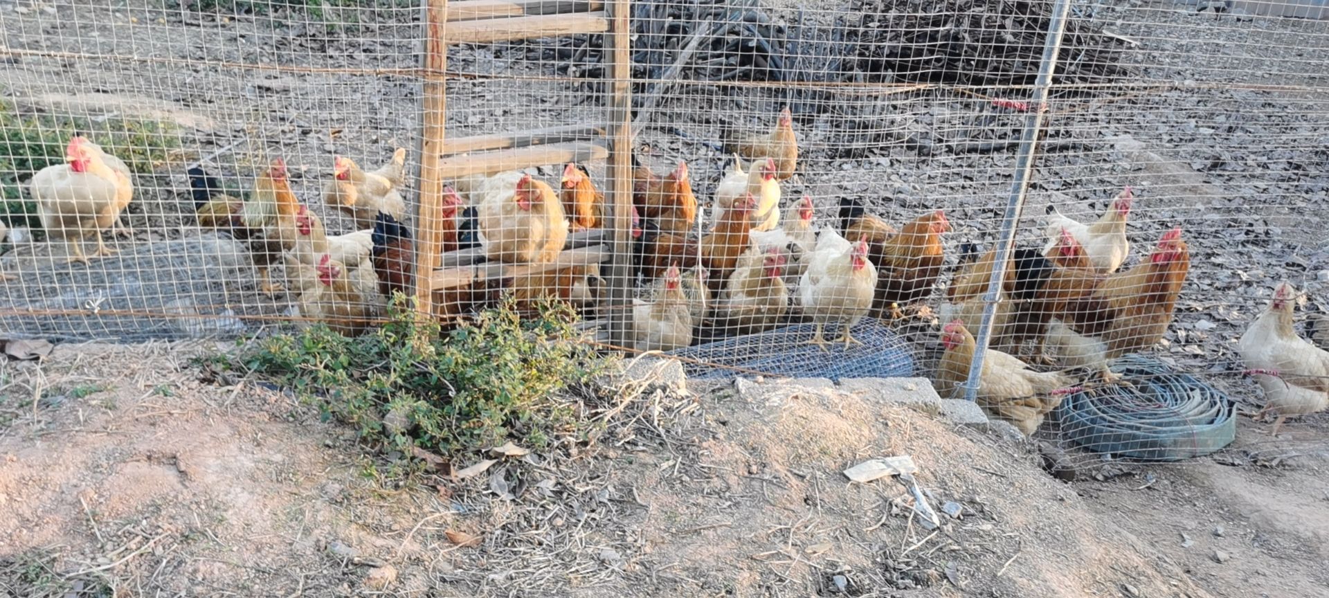 惠州市阳光农场