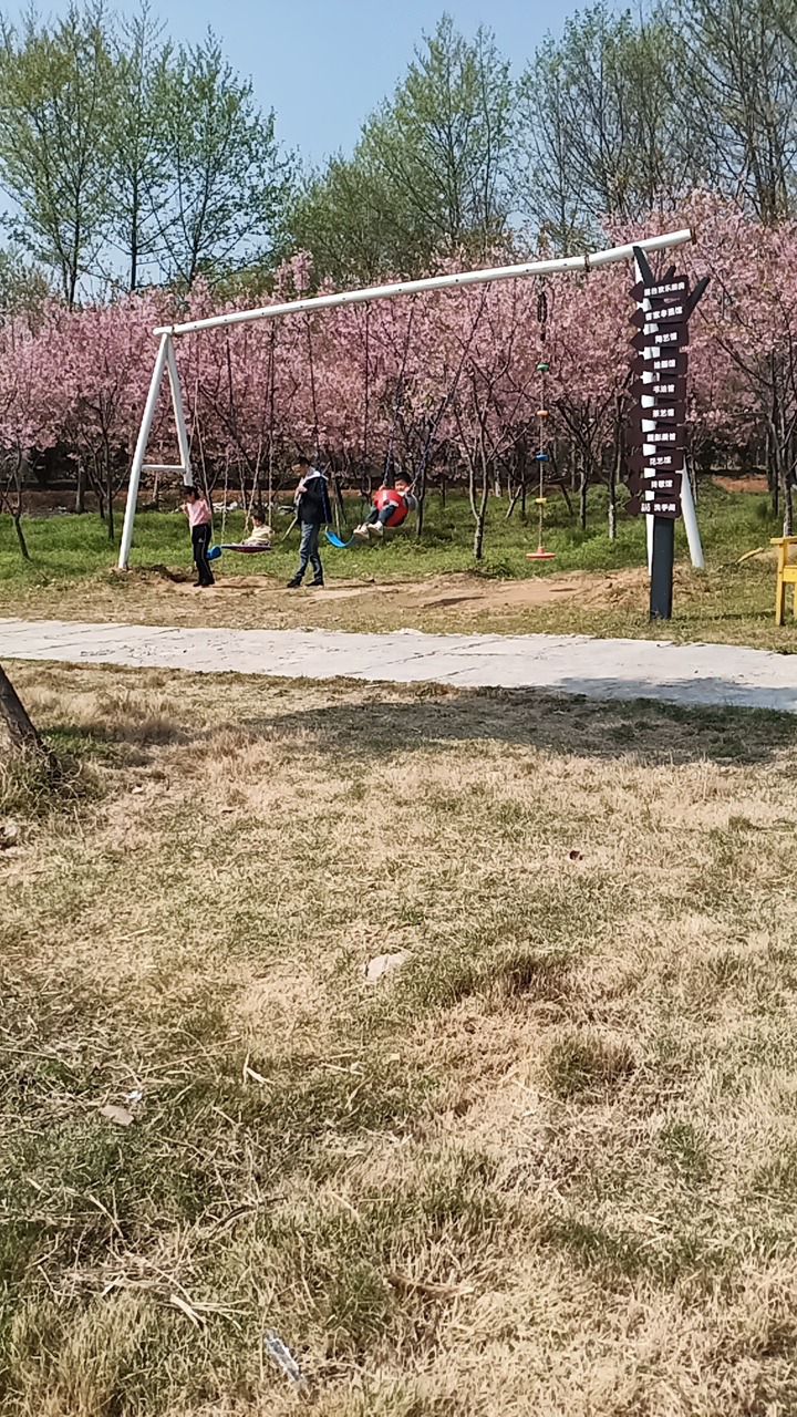 樱花奇境小镇旅行图片 3