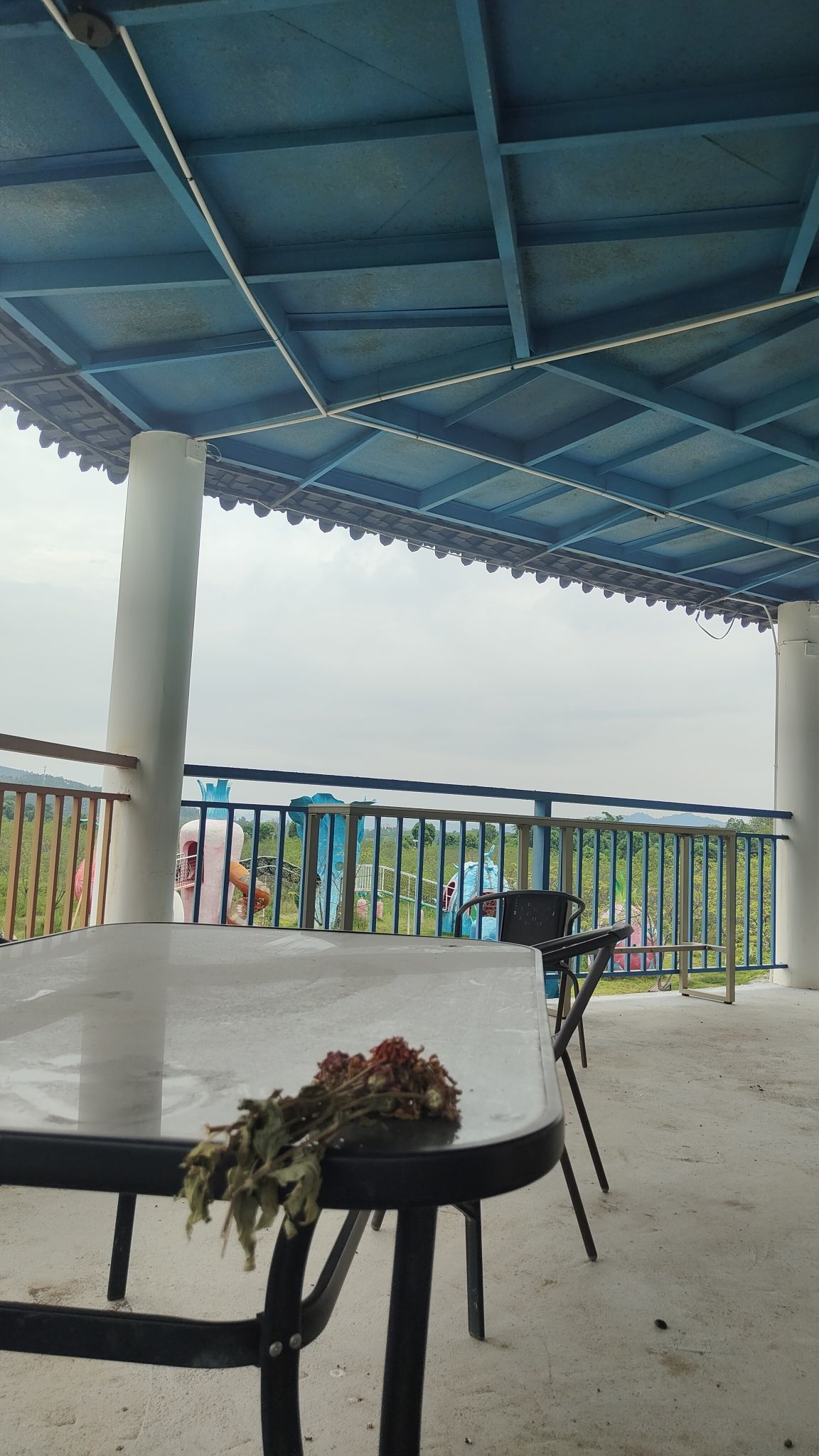 樱花奇境小镇旅行图片 3