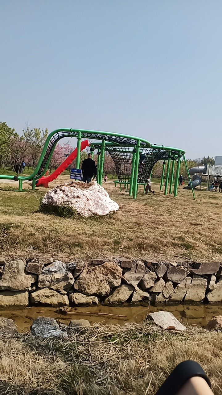 樱花奇境小镇旅行图片 2