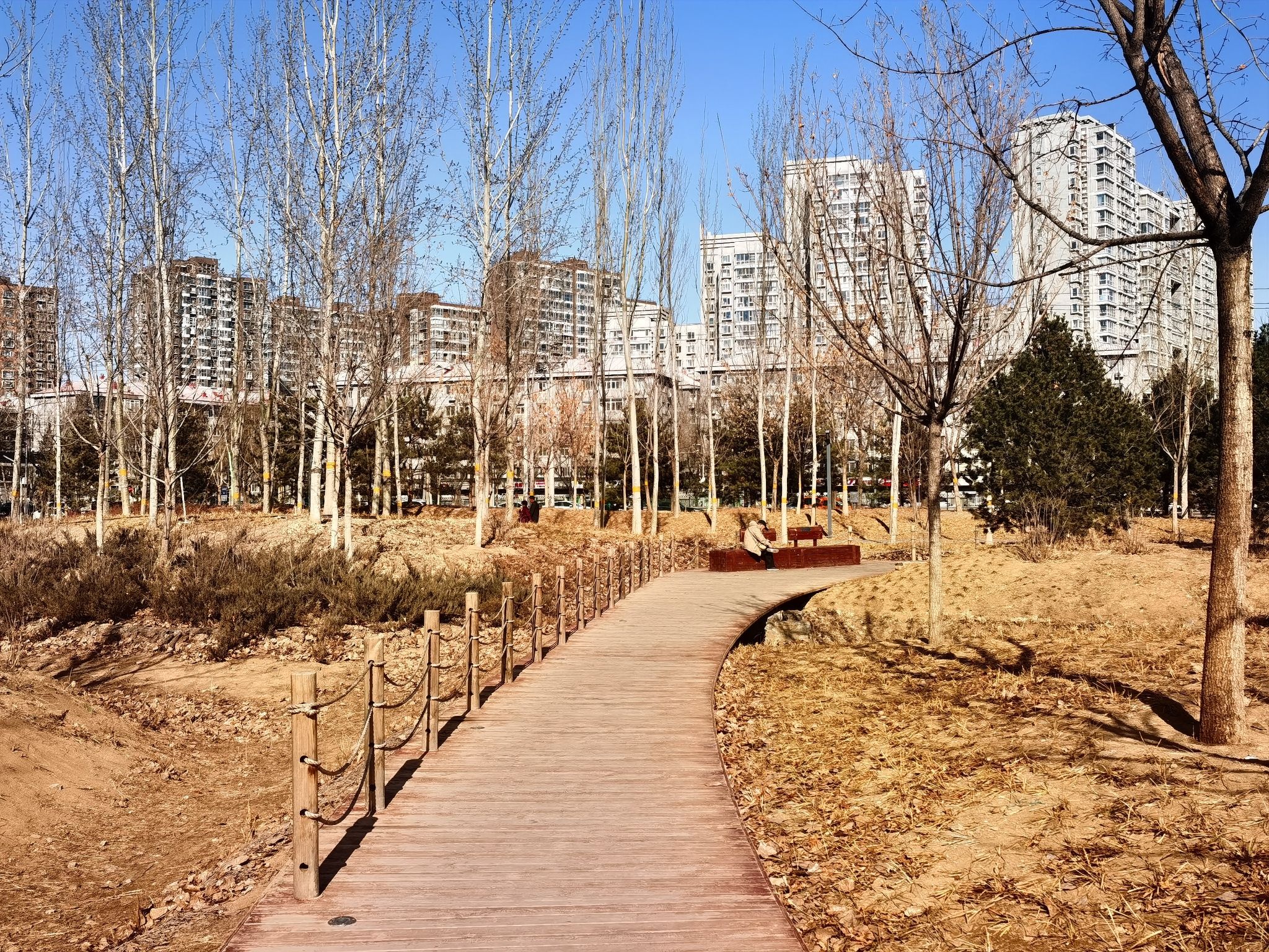 塔院城市森林公园