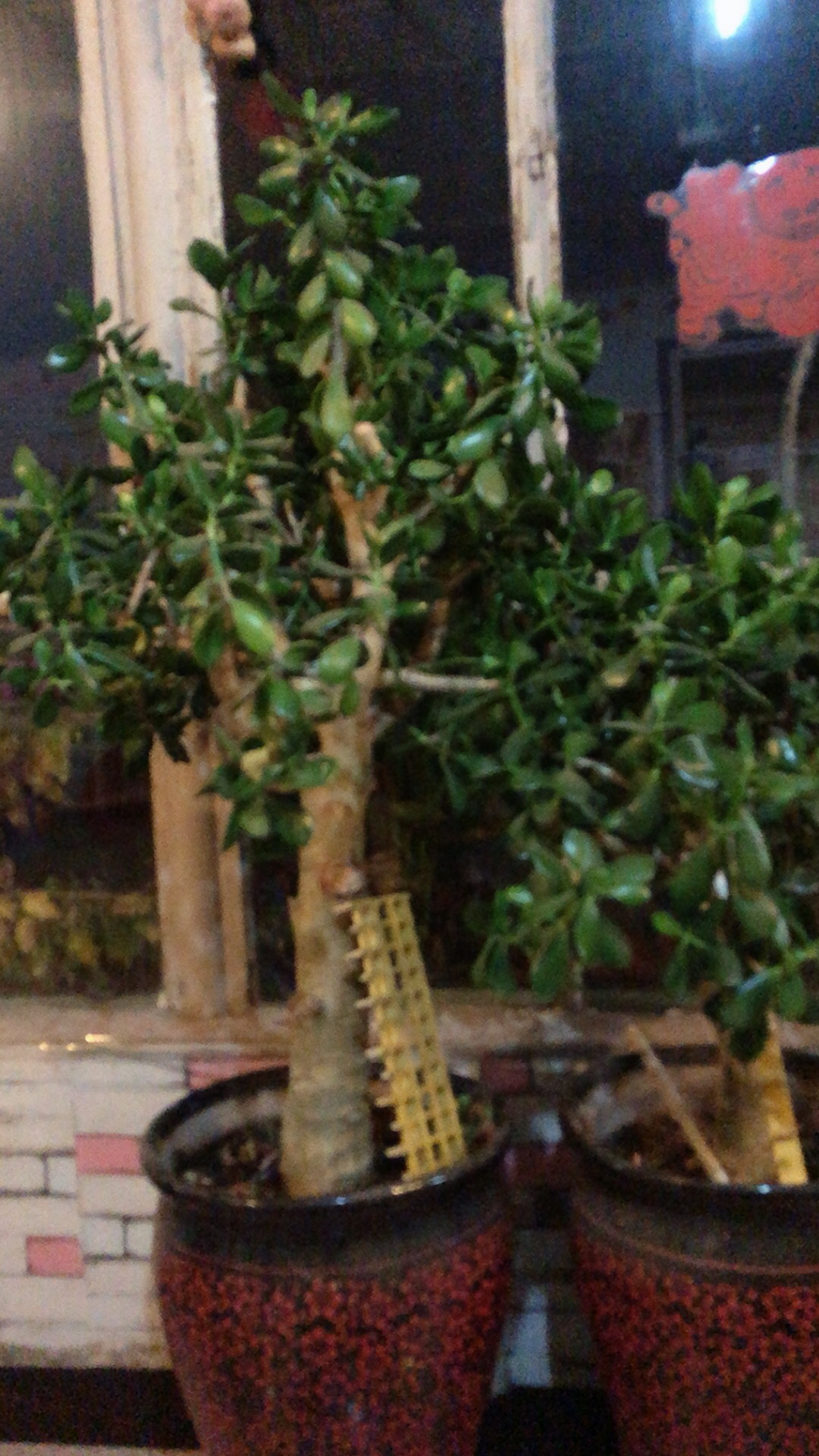 大青山影视基地旅行图片 1