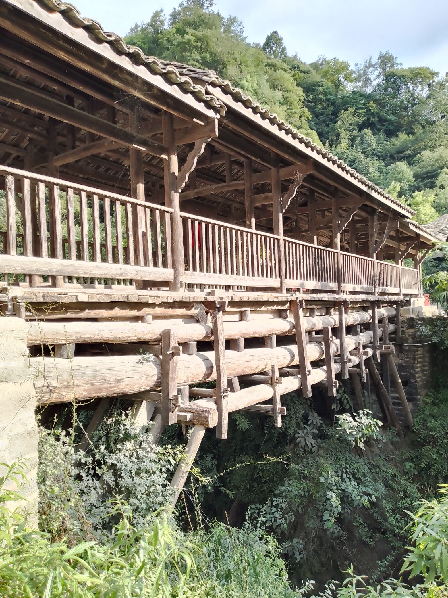 平南县苏维埃旧址旅行图片 3