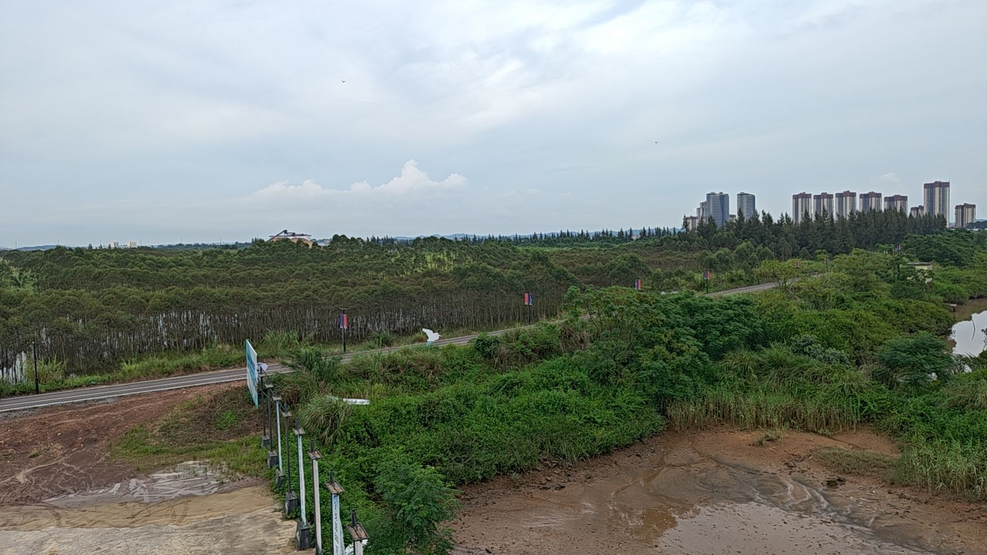 红树林公园旅行图片 2