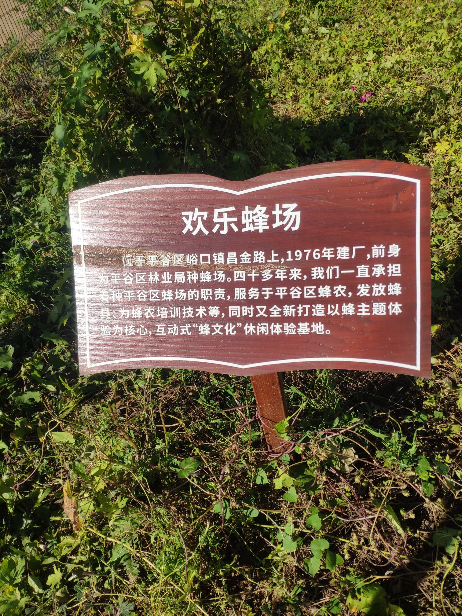 北京平谷龙源森林公园旅行图片 2