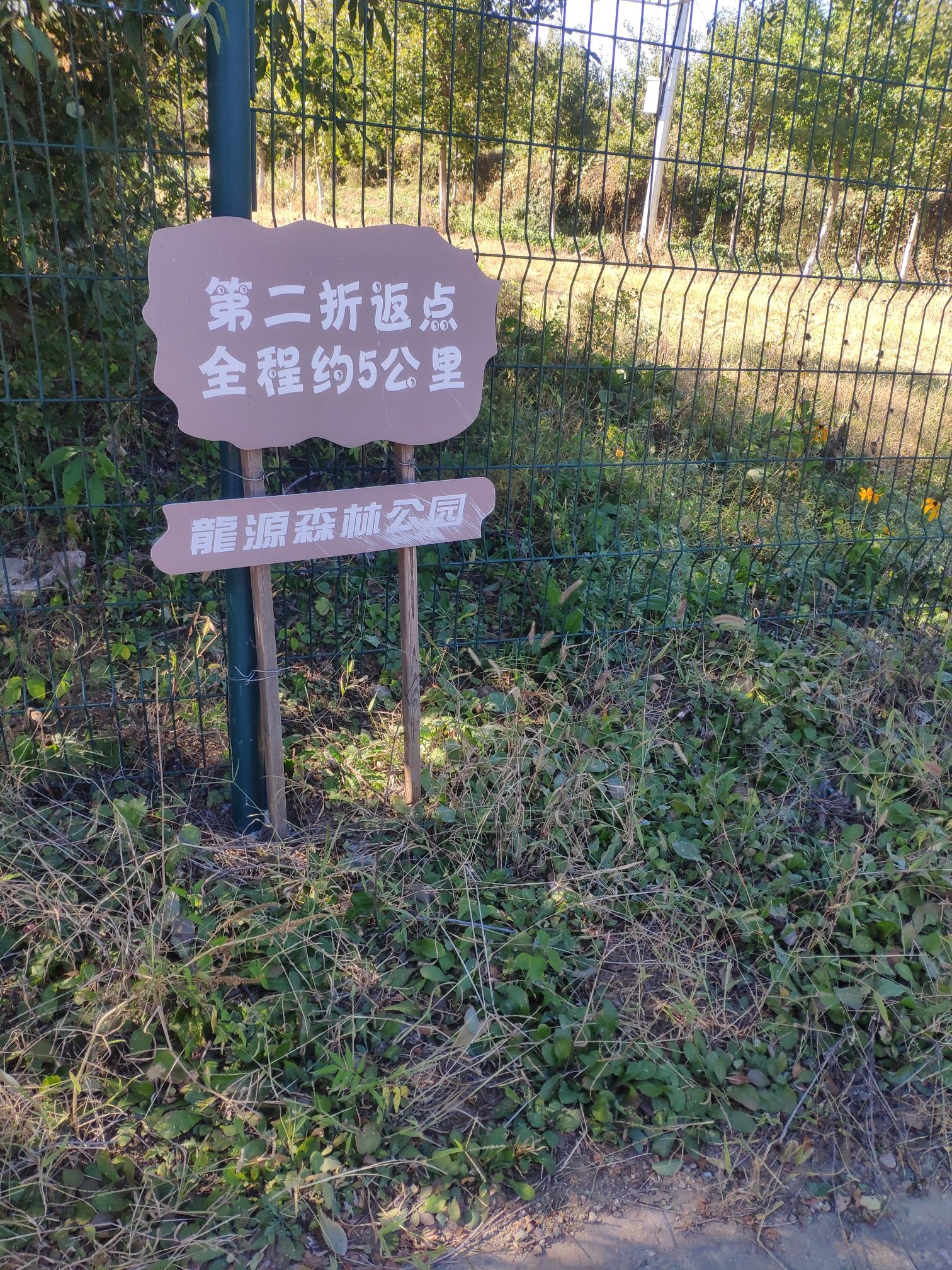 北京平谷龙源森林公园旅行图片 1