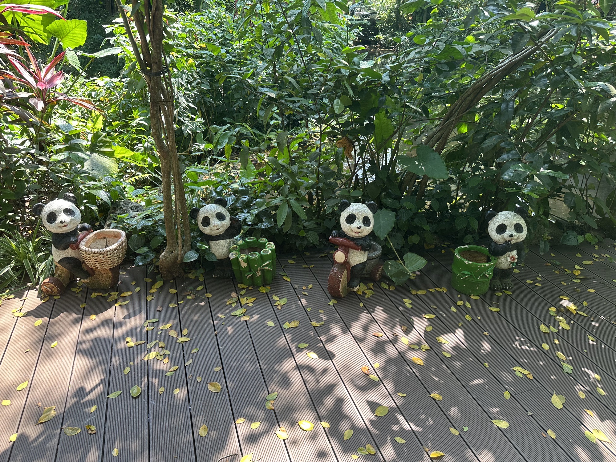 海南热带野生动植物园-熊猫世界