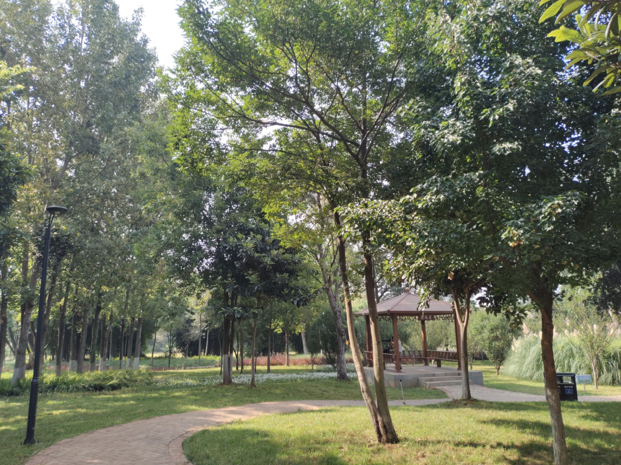 古树公园