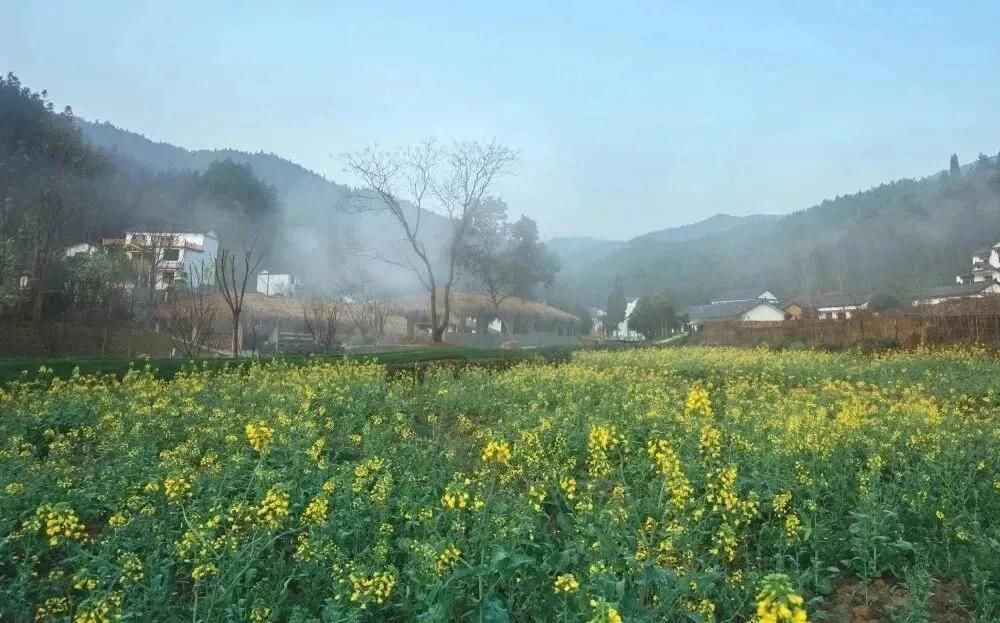 三宝瓷谷旅行图片 3
